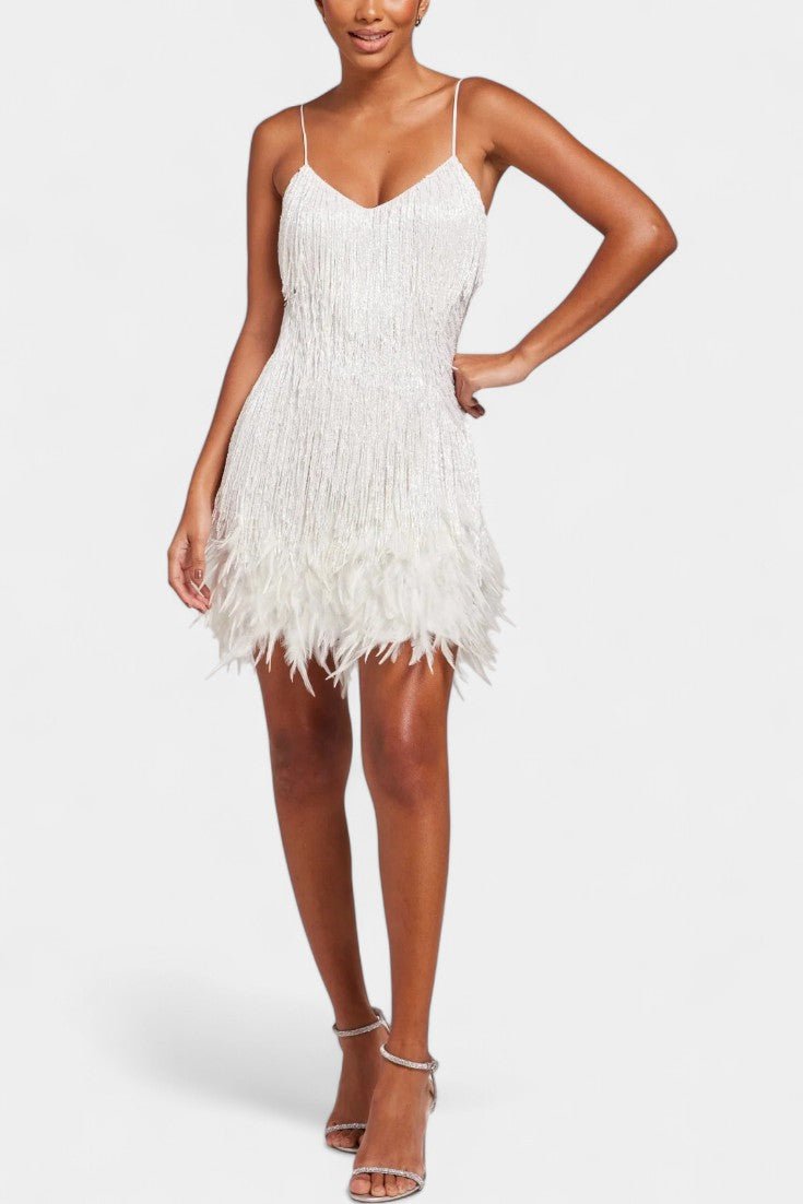 Vera | Mini vestido com piume